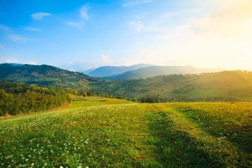 green grass with hills and a sunrise