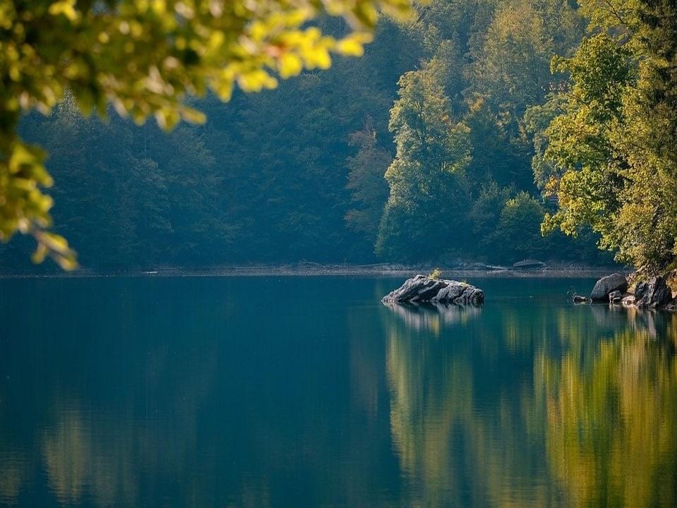 Nature Cure for Optimal Health Sleep Course